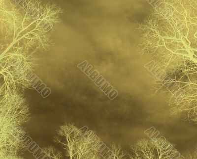 floral background