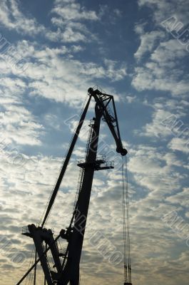 silhouette of crane