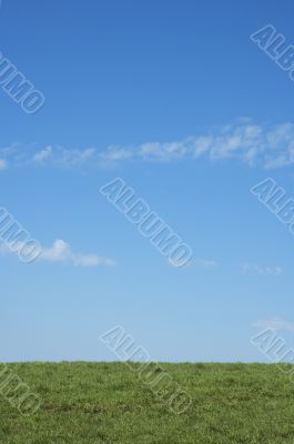 background of green grass and blue sky