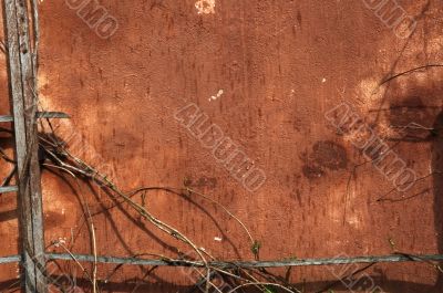 grunge frame of old wall and branches