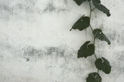 grunge floral background