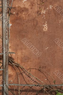 grunge background of old wall and branches