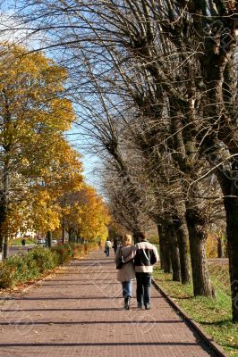 Autumn alley
