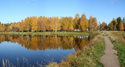 Autumn panorama