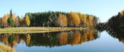 Autumn panorama