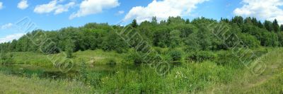Summer panorama