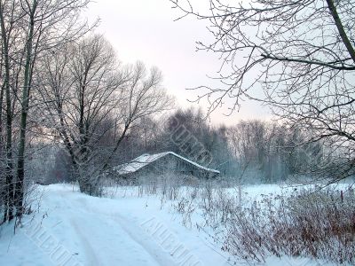 Winter view. Lonely house