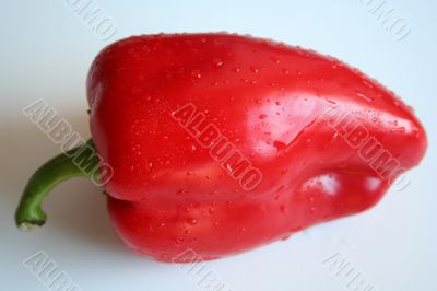 Red pepper with water drops