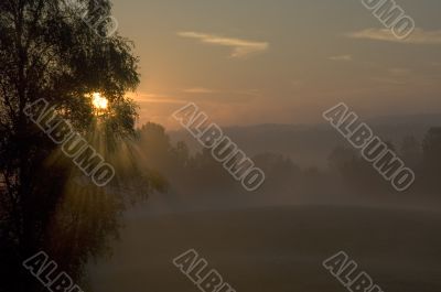 dawn in countryside