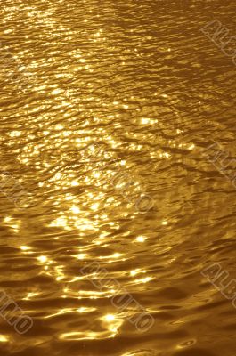 golden wavelet