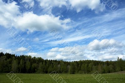 landscape