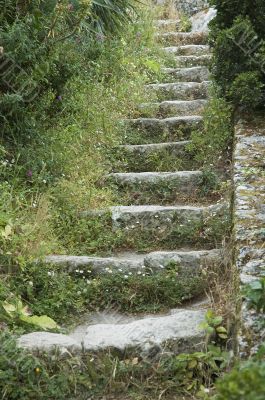 steps in old castle