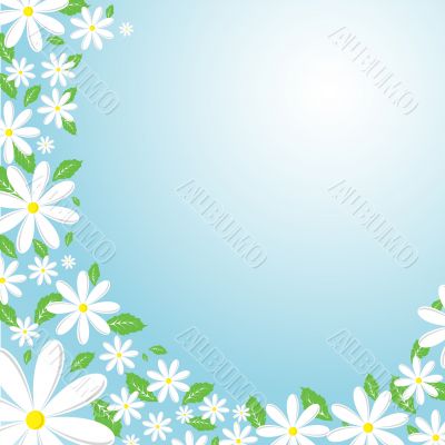 Daisy background