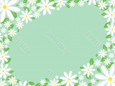 Daisy border