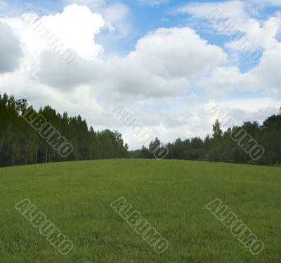 green grass and blue sky