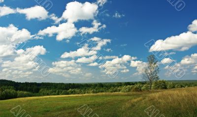 rural landscape