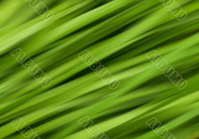 green abstract