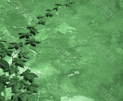 green floral background