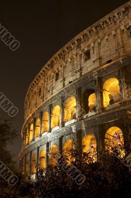 coliseum at night