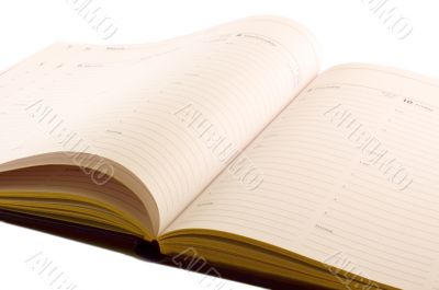 isolated diary