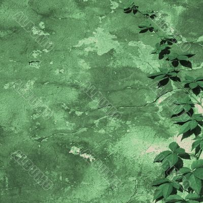 green wall