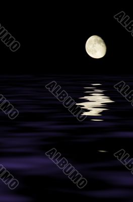 moon reflecting in the water