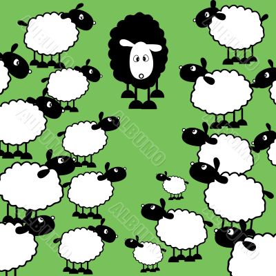 Black sheep of the family