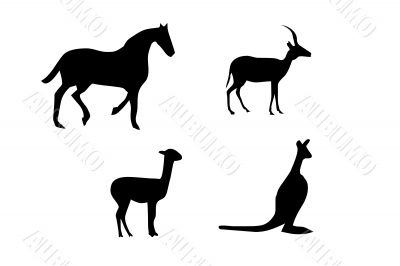  Horse, lamb,kangaroo silhouettes