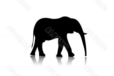 Black elephant silhouette,shape,vector,a nimals