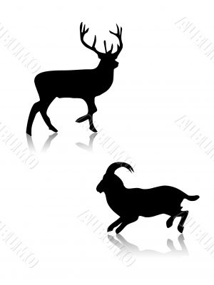  Deer and got silhouettes,shapes,vector