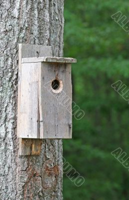 Birdhouse on Tree