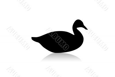 Duck black silhouette,vector