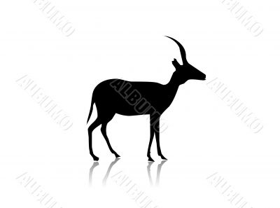 animal black silhouette