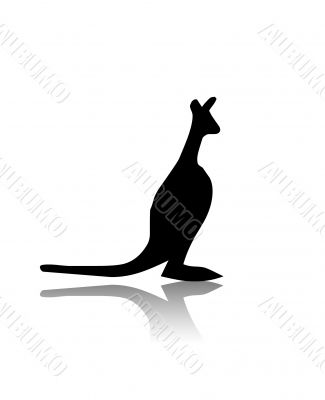  Kangaroo silhouette,vector