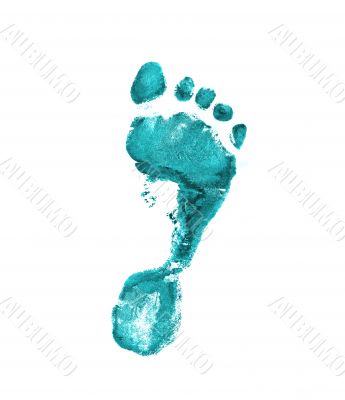 Green footprint