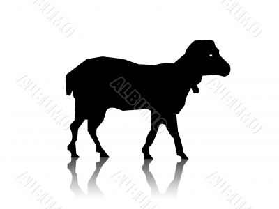  lamb silhouette