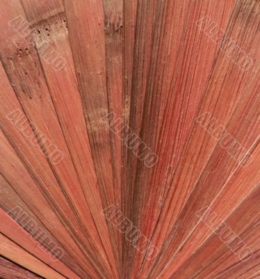 abstract backgroung - bamboo spread