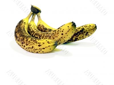 bananas