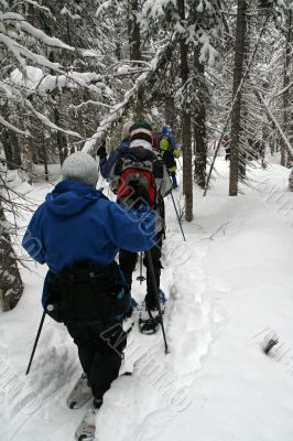 Blue parka, snowshoe hikers
