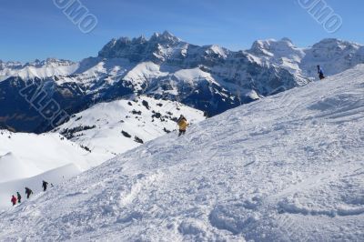 Yellow skier, Dents du Midi