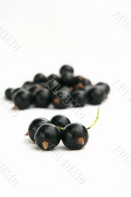 currants Isolated in White