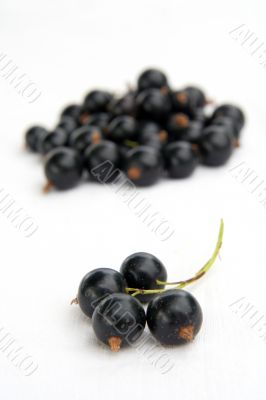 currants Isolated in White