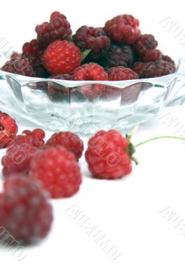 Raspberry isolated in White Background