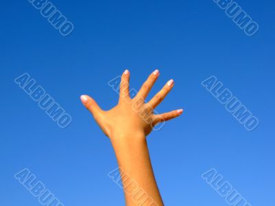 Female hand on a background of the blue sky