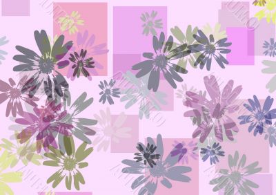 Daisies and squares
