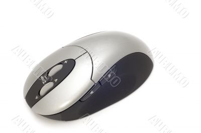 computer mouse