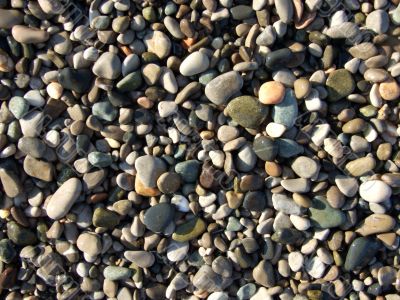 wet pebbles on the beach of the Black Sea2