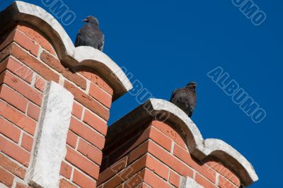 Pigeons on the bridge