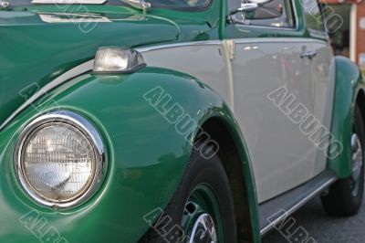 Green and Grey Bug