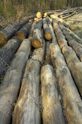 wooden logs